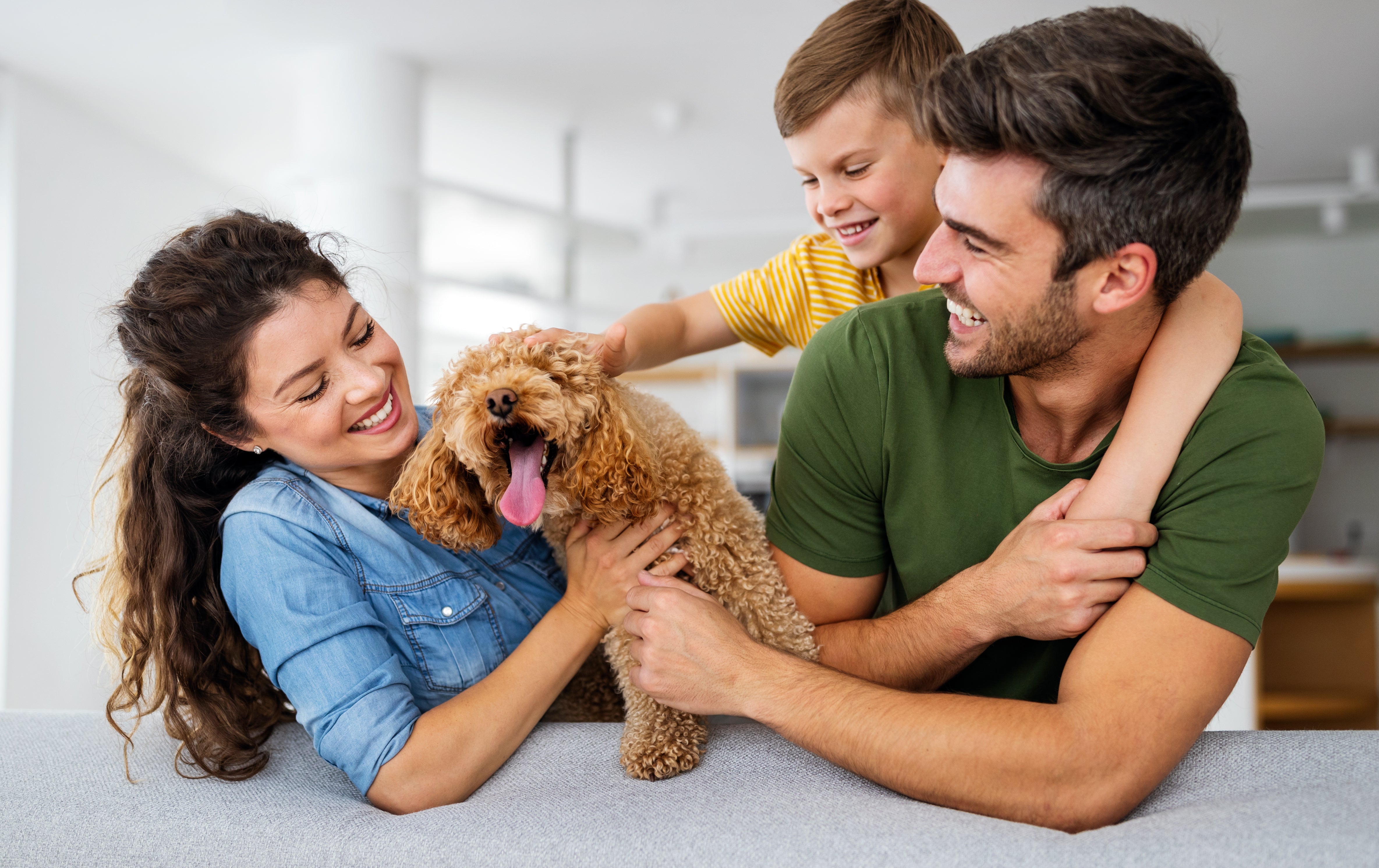 Celebrating National Pet Month: How Animal Necessity Honors the Pets Who Love Us Most
