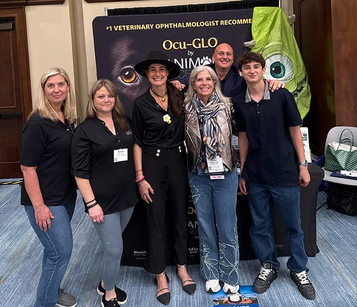 Past and Future Events