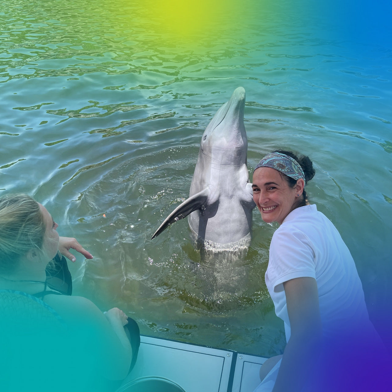 Meet the First Dolphin on Hemp!